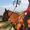 Henry Rojo - @vanhenry44 - TikTok