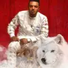 WHITE WOLF 🐺  TV 📺 - @vanhenry56 - TikTok