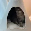 vanhoward16825 - @vanhoward16825 - TikTok