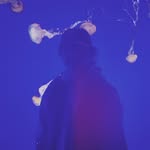 Van Jackson - @vanjacksonmusic - Instagram