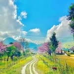 @s.vanlaiphai.insta - Instagram