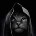 Van Luc - Facebook