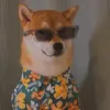user9049258049117 - @vanmacmillan - TikTok