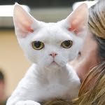 МАРИНА ИВАНОВА/ЗАВОДЧИК/ДЕВОН РЕКС - @devonrex_vanmaiers - Instagram