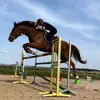 evan.perrin - @evan.perrin - TikTok