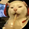 Van Phuc Dinh - @van.phuc.dinh0 - TikTok