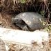 Van Fleet State Trail, Polk County Florida - Facebook