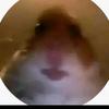 Daan_van_Poolen - @daan_van_poolen - TikTok