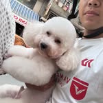 Văn Quyền - @zoanquinlatoi - Instagram