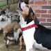 Van Ramsey - Facebook