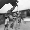 Van Richie455 - @richie00012 - TikTok