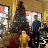 Văn Phú - @vanphurichmondvillas - TikTok