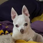 Van Richmond - @van_rich68 - Instagram