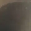 Evan Riggs - @evan_riggs - TikTok