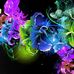 Van Rogers - Facebook