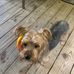 Van Rogers - Facebook