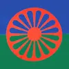 Romano steinbach - @romano.van.uden - TikTok