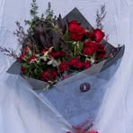 Van Rose - Facebook