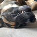 Van Sharp - Facebook