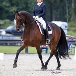 Shelley Van den Neste - @shelleyvandenneste - Instagram