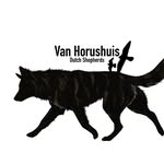 Maya, Ryko, Rival & War - @van_horushuis_dutch_shepherds - Instagram
