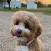 Van Snyder536 - @van.snyder - TikTok