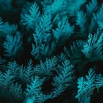Van Stanton - @vanstantonstanton - Instagram