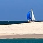 Geert Vansteelant - @vansteelantgeert - Instagram