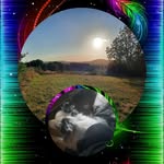 Renzo Vansteelandt - @vansteelandtrenzo - Instagram