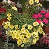 Vansteel - @vansteel4 - TikTok