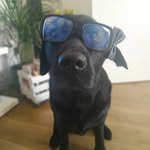 le bogosseeee - @sulli_vansullivan - Instagram