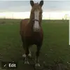 vanswanson127 - @vanswanson127 - TikTok