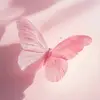🦋 - @vanswift00 - TikTok