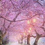 Erika Østenstad - @vantemple_downing7u7my6nr - Instagram