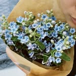 vần thơ dệt nắng vàng - @nolovenolife.21z - Instagram