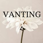 Vanting - @vanting.express.collection - Instagram