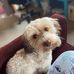 Van Auwelaer Andrew Todd - Facebook