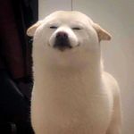 Van Tran - @vann.tran79 - Instagram
