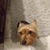 Van Wilson - Facebook