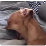 Vance Anderson - @vance2tuff - Instagram