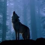 Vance Anderson - @andersonvance - Instagram