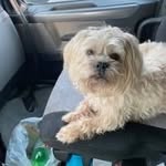 Vance Cox - @vance0716 - Instagram