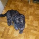 Vance Davis - @vance.davis.967 - Instagram