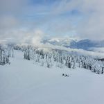 Vance Davison - @vancedavison - Instagram