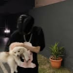 @vanc_efox - Instagram