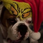 Nancy Vance McDonald - @getupngo52 - Instagram