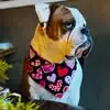 Nancy Vance McDonald - @nancy.vance.mcdon - TikTok