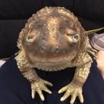 Vance Saunders - @vance____________ - Instagram