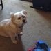Frances Stallings - Facebook