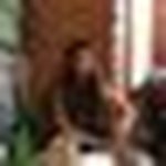 Vance Wade - @vancewade081 - Instagram
